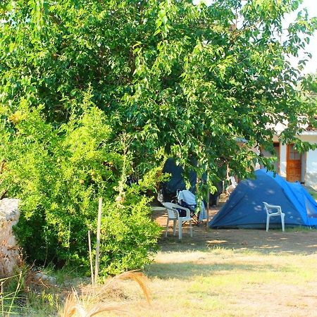 Medusa Camping Patara Eksteriør billede